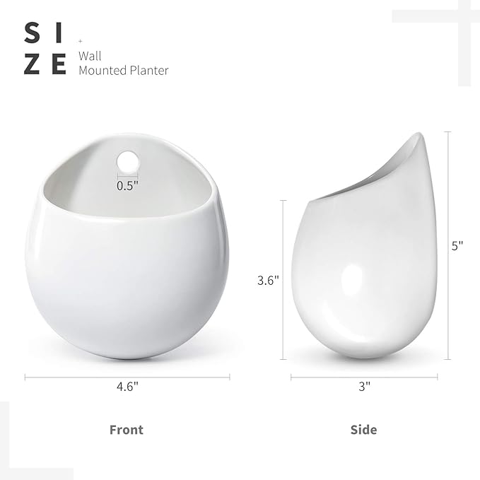 Dahey Wall Planters with Fake String of Pearls Plant Artificial Succulent Small Modern Ceramic Mounted Planter Round Hanging Wall Vase Display Holder for Indoor Garden Office Decor, Set of 2