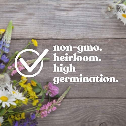 Wildflower Seed Bulk, 3 Oz. (80,000+ Seeds) β 19 Non-GMO Flower Seeds for Shade, Annual & Perennial Wild Flowers Mix for Partial Shade β Shade Tolerant by Mountain Valley Seed