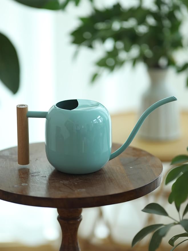 Green Moon Water Can Indoor Plant Mint Green 1.2L/41oz Metal Stainless Steel Water Can Indoor Outdoor with Long Spout for House Plant Bonsai Outdoor Garden Flowers