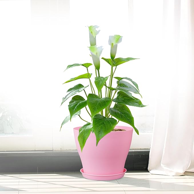 6 inch Plastic Nursery Pots, Seedling Pots, 16 Pack Plant Pots for Small Indoor Outdoor Plants, Flower Pots with Drainage Holes and Saucers, Decorative Planters for House Plants, Colorful