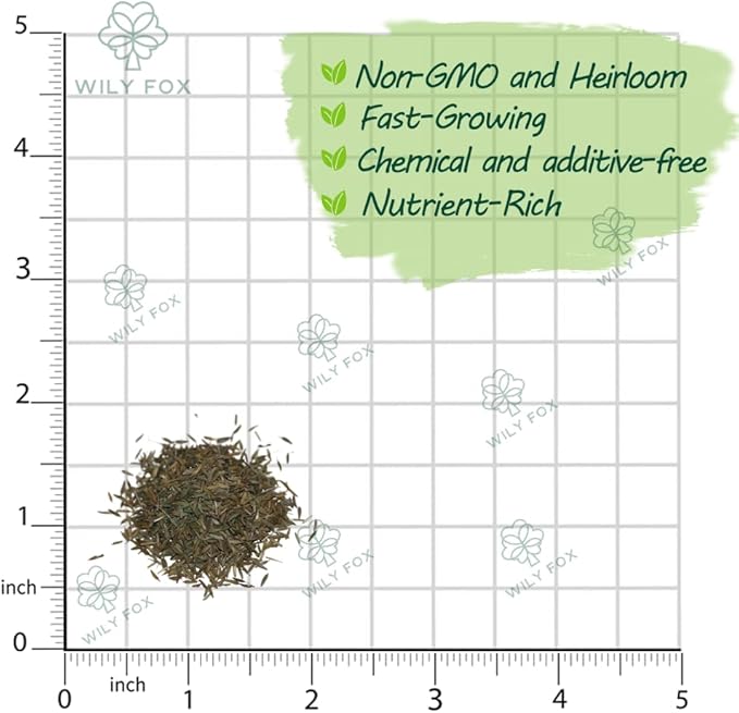 Premium Taraxacum Dandelion Seeds - 5000 Non-GMO Heirloom Purple-Stem Dandelion Seeds for Planting, Herbal Tea & Pollinators โMost Medicinal Variety (Taraxacum)