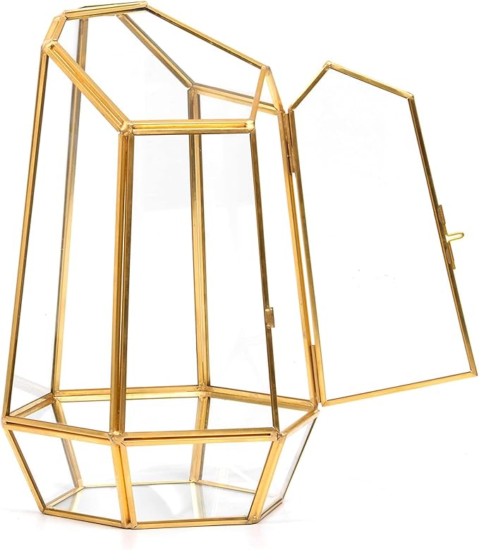 Golden Geometric Glass Terrarium with Door - 9.8" Tall Irregular Clear Planter for Succulents,Ferns,Moss,Cacti | Indoor Fairy Garden,Tabletop Display,Wedding Home Decoration (Plants Not Included)