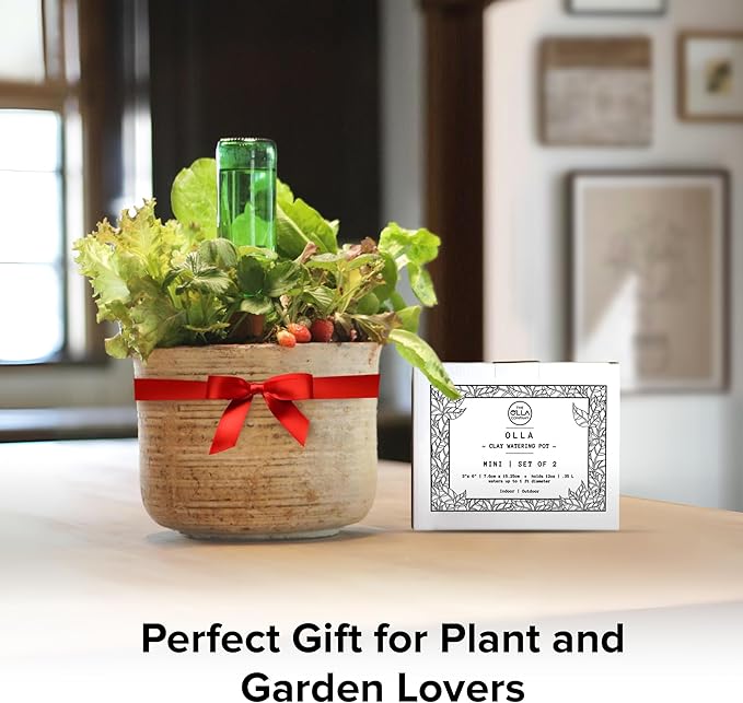 Classic Olla Watering Pot Mini – Set of 2 | Holds 12 Ounces | Plant Watering Bulb Olla Watering System with Terra Cotta Irrigation Pots | Self Watering While on Vacation | The Olla Company