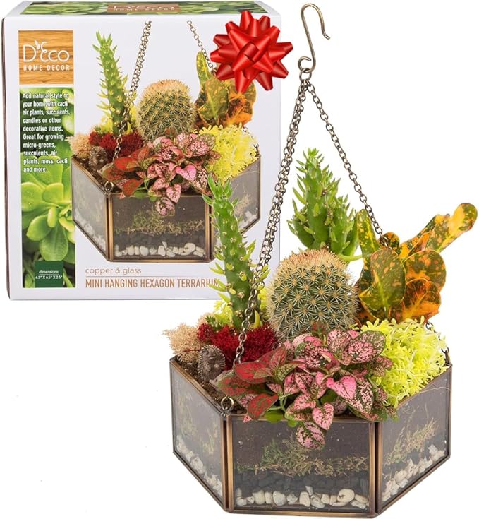 Deco Glass Geometric DIY Terrarium, Succulent & Air Plant- Hanging Mini Hexagon Shaped for Indoor Gardening Decor- Create Your own Flower, Fern, Moss Centerpiece- Amazing Holiday and Wedding Gift