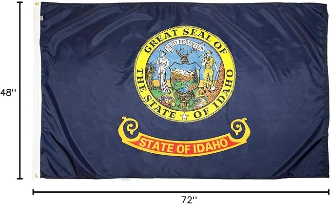 FlagSource Idaho Nylon State Flag, Made in USA, 4x6'
