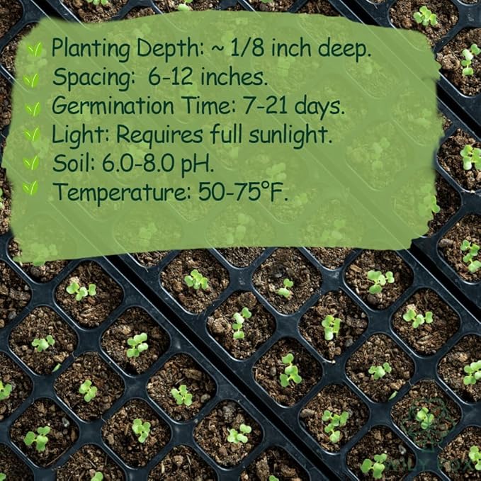 Premium Taraxacum Dandelion Seeds - 5000 Non-GMO Heirloom Purple-Stem Dandelion Seeds for Planting, Herbal Tea & Pollinators โMost Medicinal Variety (Taraxacum)