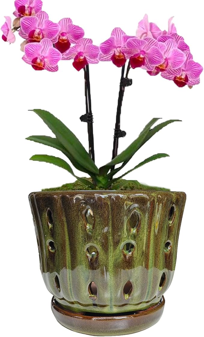 Ceramic Orchid Pots with Attached Saucer and Drainage Hole 6'' Orchid Planter (mossgreen)