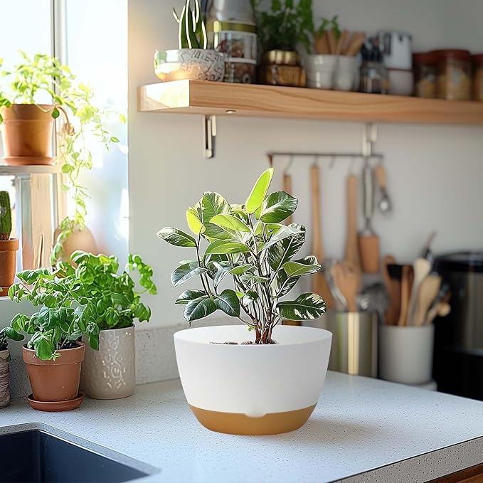 8 Inch Pots for Indoor Plants, Self Watering Planters with Drainage and Saucers, Plastic Outdoor Flower Pot, Set of 2, White