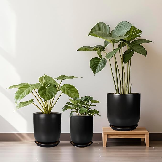 Ceramic Planter 10 Inch - Ceramic Pot for Indoor Plants Outdoor Plant Pot with Drainage Hole and Saucer Cylinder Flower Pot Black