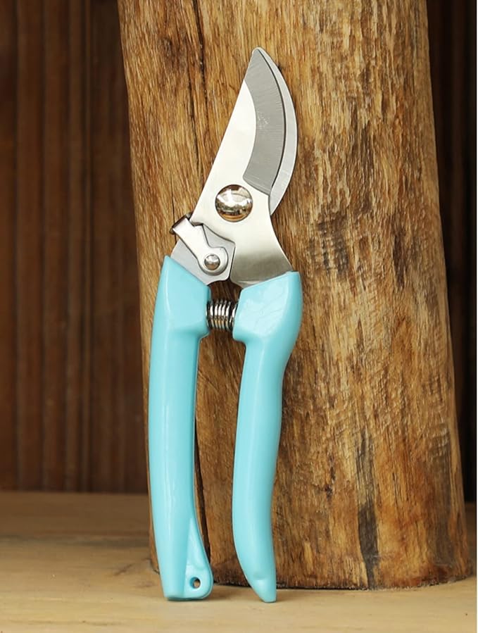 Curve Gardening Scissor with Sharp Stainless Steel Blade Garden Shears for Cutting Flowers Trimming Plants of Yard Florist Flower Rose Herb Hedge Bonsai and Fruits Picking