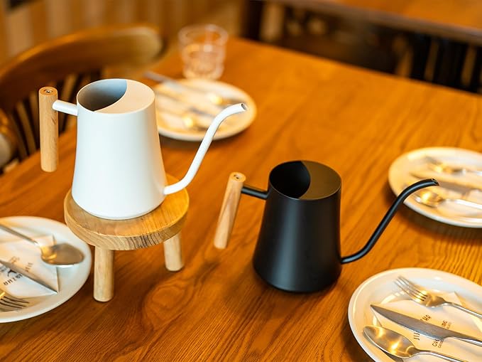 Green Moon Water Can Indoor Plant White 35oz with Long Spout Mini Water Can Indoor Metal Watering Can Pot for Indoor House Plant Bonsai Outdoor Garden Flowers Modern Decorative