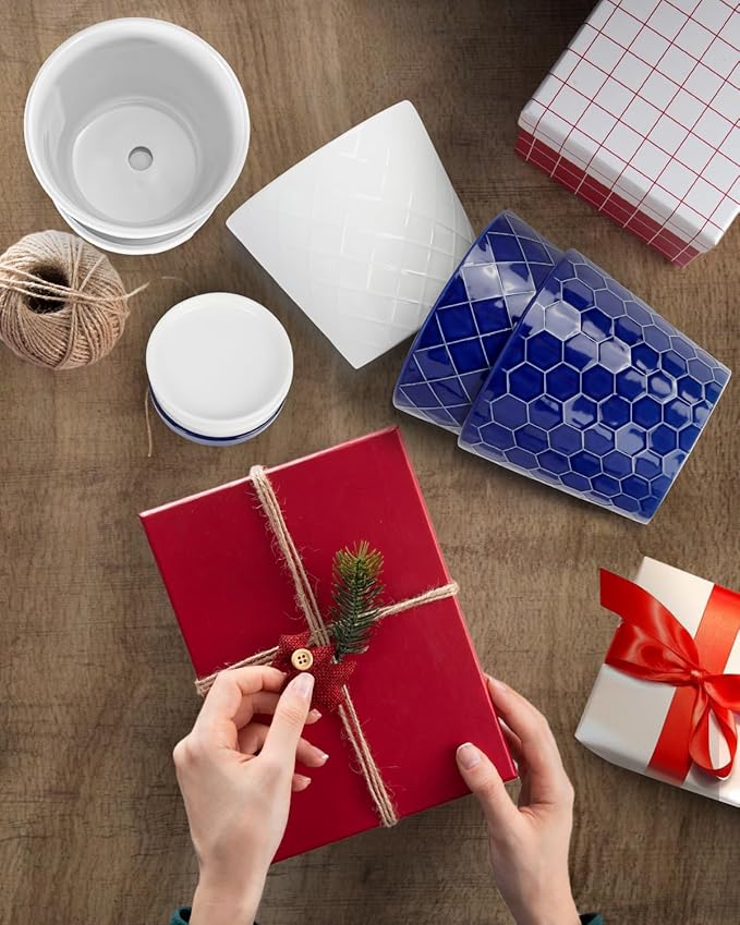 BUYMAX Plant Pots Indoor –6 inch Ceramic Flower Pot with Drainage Hole and Ceramic Tray - Gardening Home Desktop Office Windowsill Decoration Gift, Set of 2(Royal Blue)