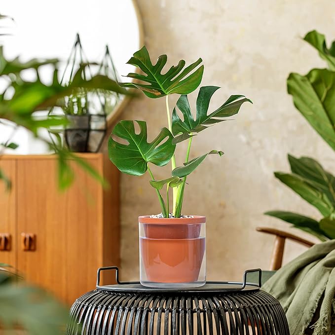 D'vine Dev 6 Inch Design Self Watering Pot for Indoor Plants, Terracotta Planter with Cylinder Glass Cup, Set of 1, 37-X-B-1