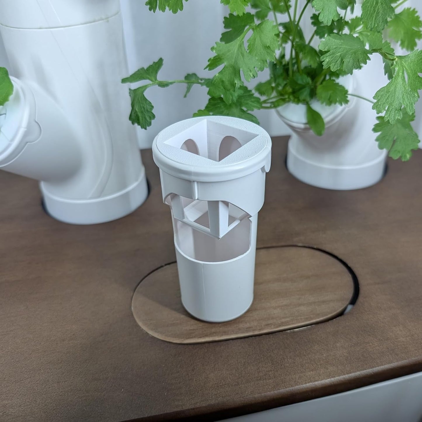 Grow Cubes for Hydroponic System/Compatible with Gardyn (5 Grow Cubes)