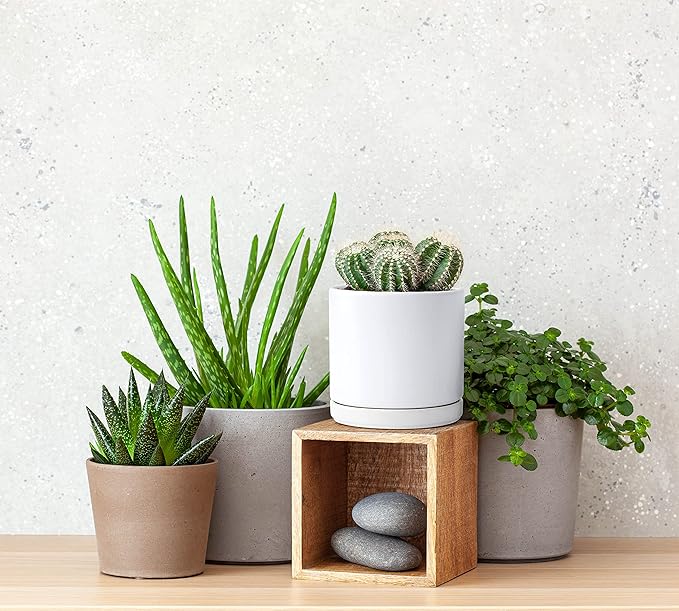 D'vine Dev Ceramic Planter Pot with Drainage Hole and Saucer, Indoor Cylinder Round Flower Pot, 4.6 Inch, White, 94-O-B-1