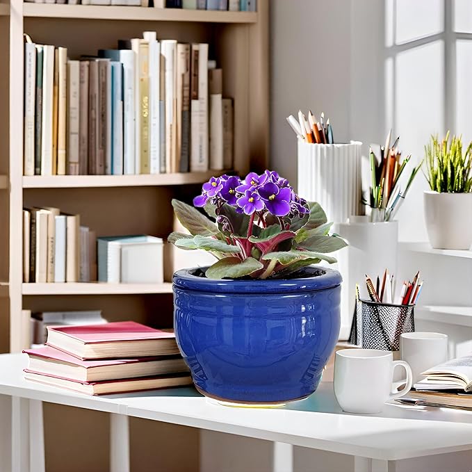 African Violet Pots Self Watering Round Ceramic Violet Pot (Blue, 6 inch)