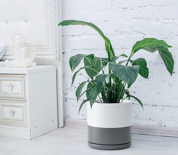 D'vine Dev 10 Inch Ceramic Planter Pot with Drainage Hole and Saucer, Indoor Cylinder Round Planter Pot, White/Speckled Grey, 94-O-E-6