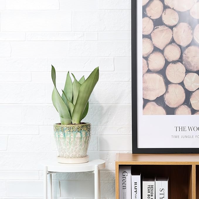 6 Inch + 5 Inch Ceramic Planter with Drainage Hole and Saucer for Plants, Indoor-Outdoor Round Succulent Orchid Garden Flower Pot - Set of 2