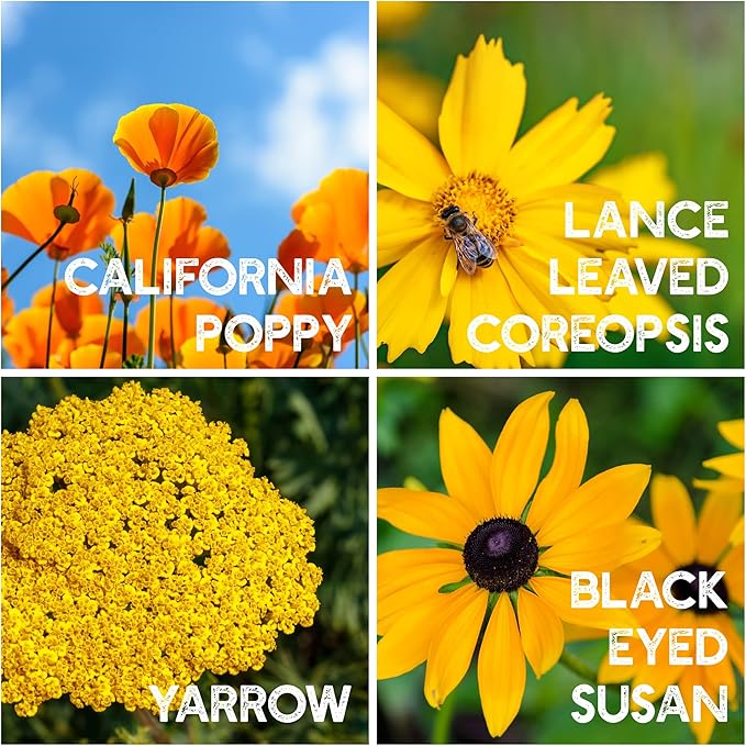 All Annual Wildflower Seeds Mix β 4 Oz, 4,000+ Seeds β 21 Varieties Including California Poppy, Indian Blanket, Scarlet Flax β Bulk Pollinator Wildflower Seed for Planting