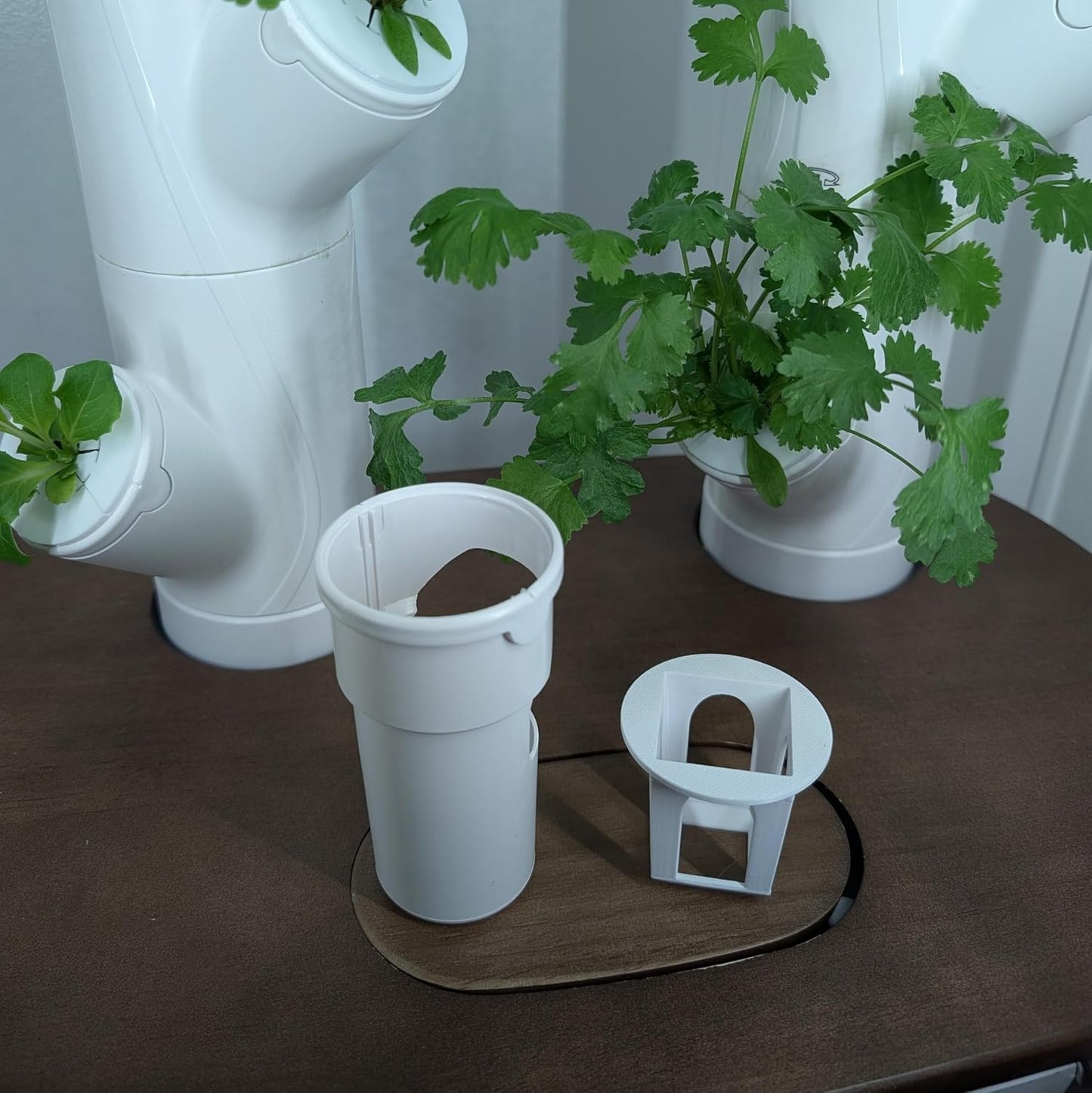 Grow Cubes for Hydroponic System/Compatible with Gardyn (5 Grow Cubes)
