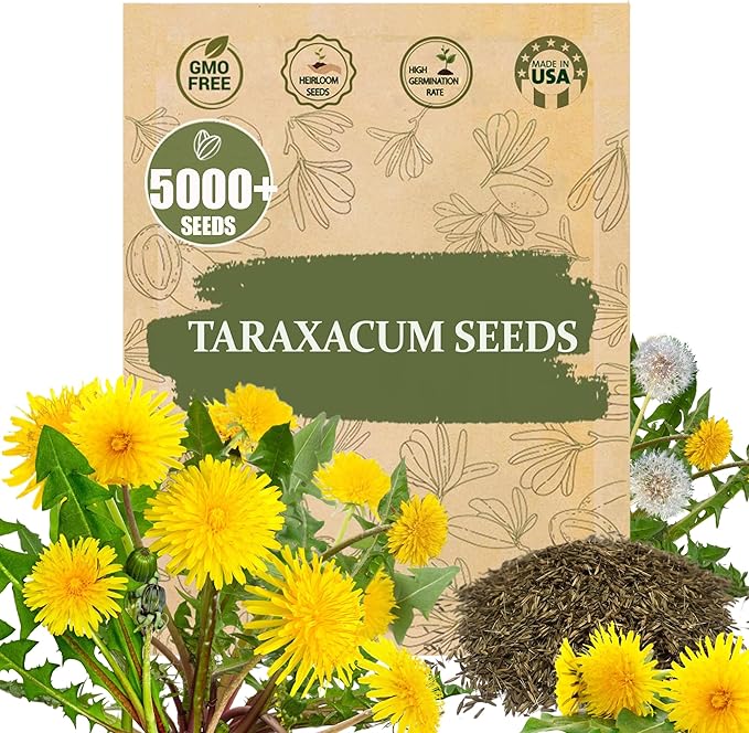 Premium Taraxacum Dandelion Seeds - 5000 Non-GMO Heirloom Purple-Stem Dandelion Seeds for Planting, Herbal Tea & Pollinators โMost Medicinal Variety (Taraxacum)