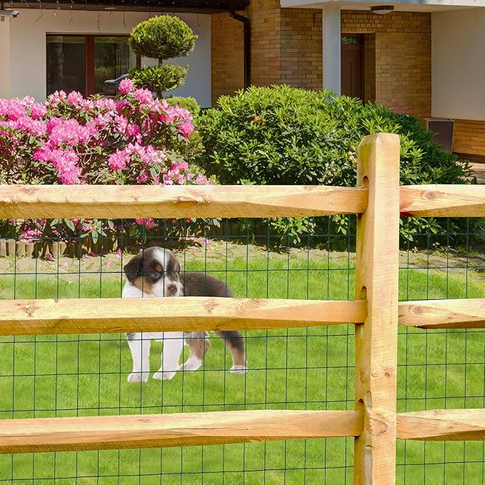 Green PVC Coated Welded Wire Fence 24 Inch x 25 Foot, 2 Inch x 3 Inch 16GA, Garden Border Fencing Roll Vinyl Coating Metal Wire Mesh for Yard Vegetable Plant Protection Poultry Netting