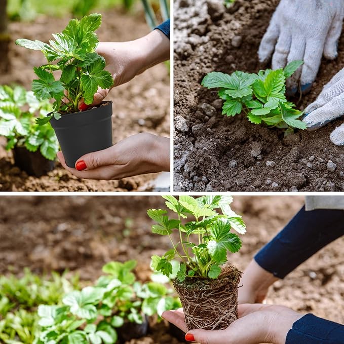 4 inch Small Plant Pots, 28 Pack Plastic Planters with Drainage Holes and Saucers for Flowers Plants, Succulents, Seed Starting Pots, Black