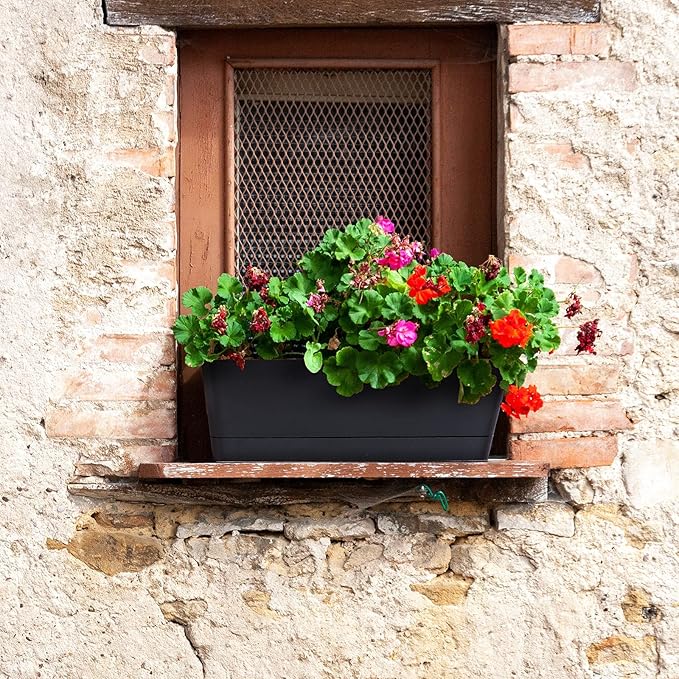 GREANER 12x3.8 Inch Herb Planters, 1 Pack Rectangle Window Boxes with Tray, Indoor Succulent Cactus Mint Plastic Pot for Windowsill, Balcony, Office, Outdoor Garden - Black