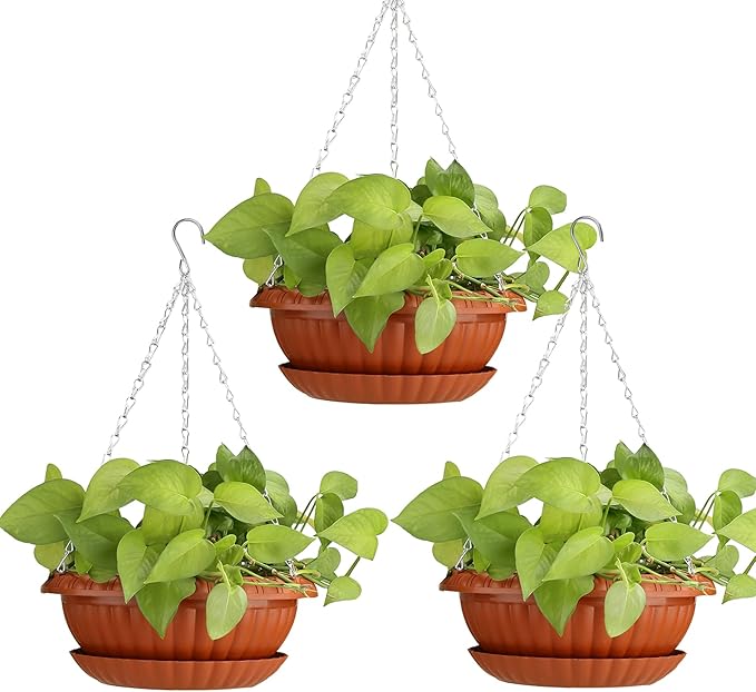 Gardening & Lawn Care