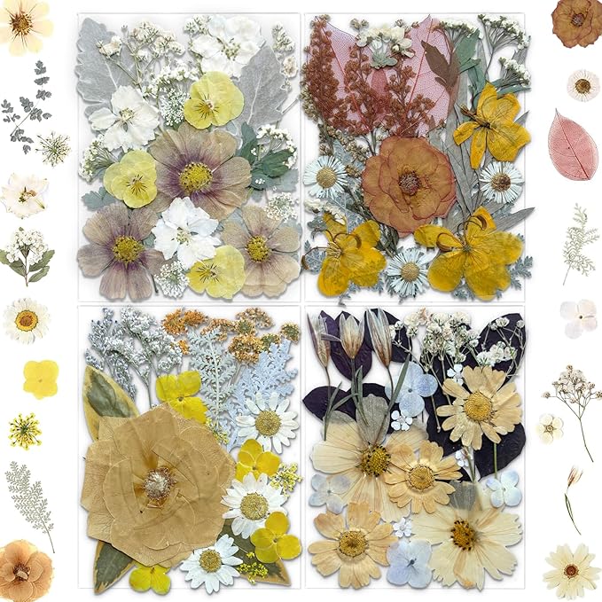 Dried & Preserved Flora