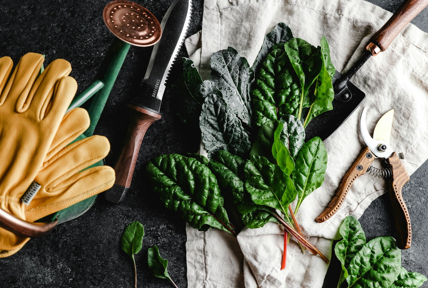Garden Tools