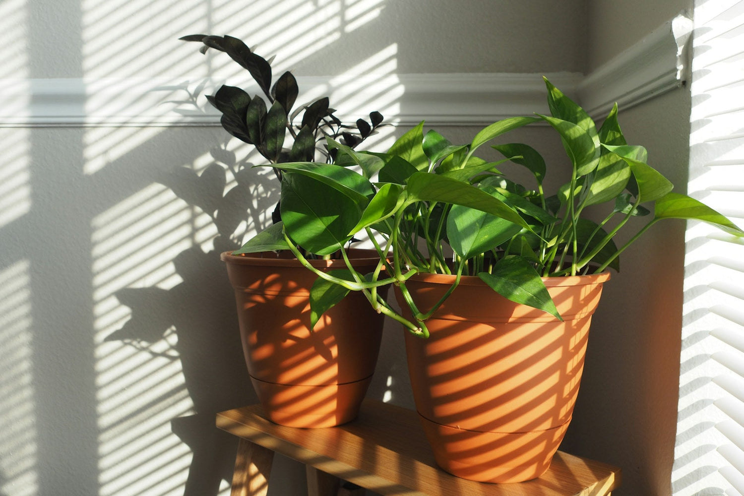 Planters & Pots