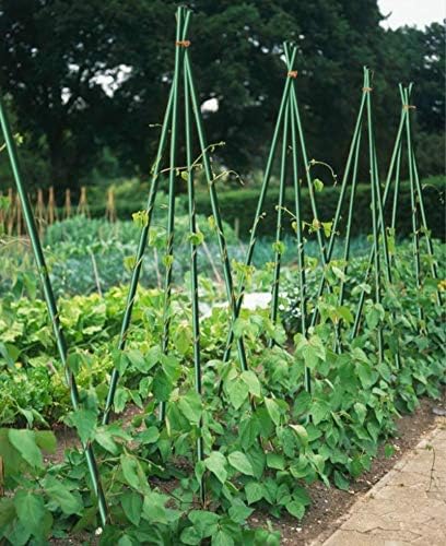 Garden Stakes 4ft for Plants, 20pack Tree Stakes Fence Post Fiberglass Rod, 1/5 Inch Dia Garden Poles Tree Stake Cucumber Stake EcoStake Rust-Free (48inch)