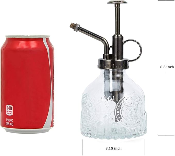 Glass Plant Mister Spray Bottle, 6.5" Tall Vintage Plant Spritzer Watering Can, Succulent Watering Bottle with Top Pump, Small Plant Sprayer Mister for Indoor Outdoor House Plant - Clear