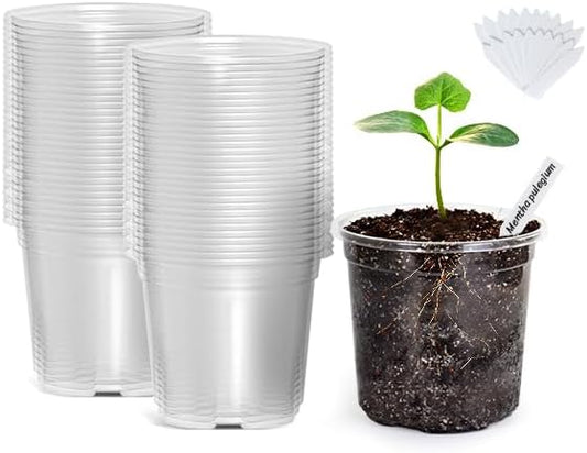 Bonviee Clear Nursery Pots for Plants, 4 Inch Plastic Seedling Pots with Drainage Holes, Planters for Indoor Plants and Small Seed Starters, High Transparency Flower Pots with 20 Plant Labels, 60 Pack