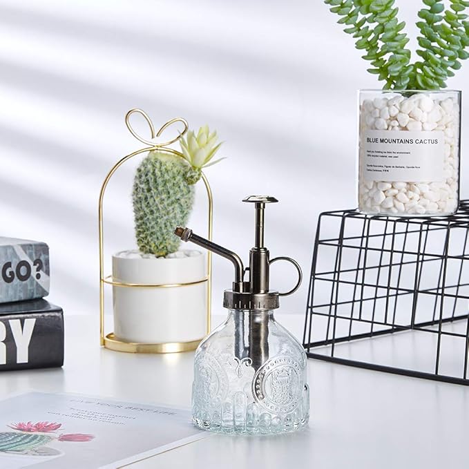 Glass Plant Mister Spray Bottle, 6.5" Tall Vintage Plant Spritzer Watering Can, Succulent Watering Bottle with Top Pump, Small Plant Sprayer Mister for Indoor Outdoor House Plant - Clear