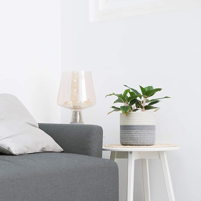 Dahey Jute Cotton Rope Plant Basket Mini Woven Storage Basket for Up to 7" Planter, Decorative Flower Pot Cover Closet Storage Bin Table Desk Organizer Modern Home Decor, Grey