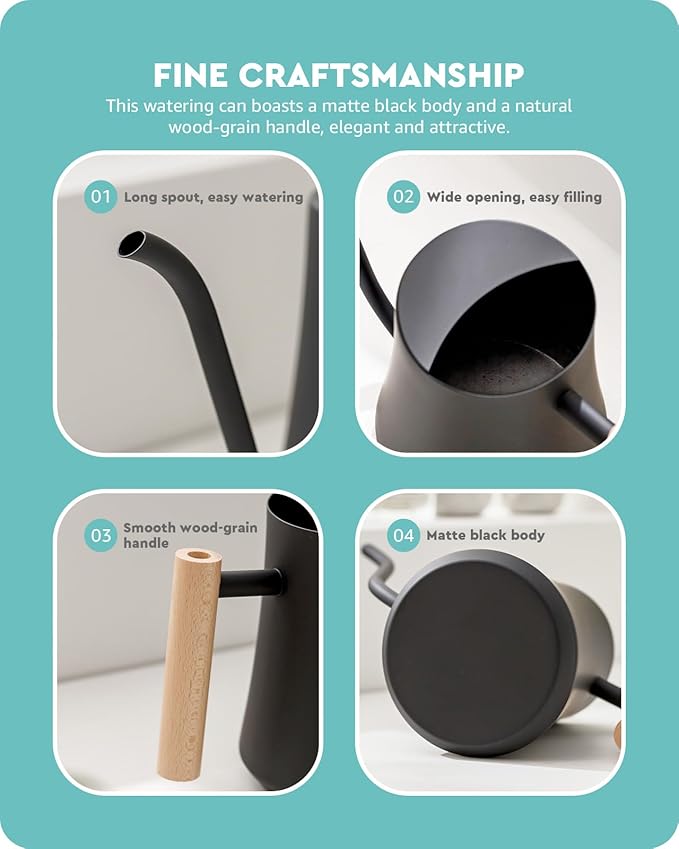 Baffect Indoor Watering Can, 1L/34OZ Metal Houseplant Watering Can with Wooden Handle, Curved Design Watering Can with Long Spout for Small Potted Plants (Black)