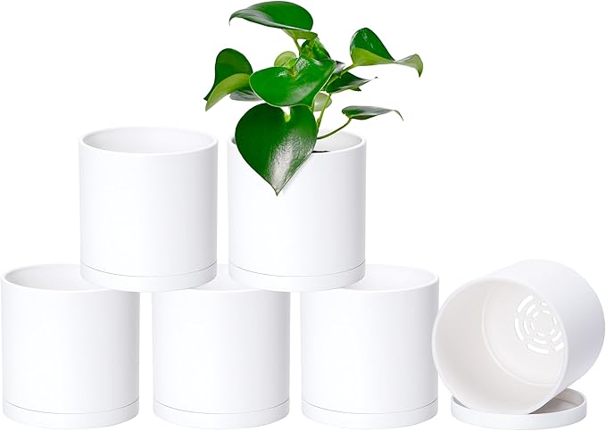 D'vine Dev 6 Pack 5 Inch Modern Plastic Plant Pots, Small Garden Planters for Plant with Drainage Holes and Saucers, White Color, 74-Z-G-3