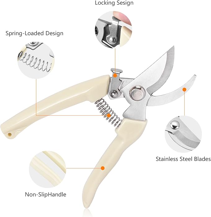 Garden Scissors for Plant, Tip Pruning Shears for Cutting Flowers, Trimming Plants, Bonsai and Fruits Picking (Bypass Blade Pruner)