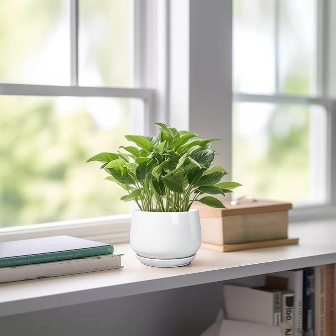 G EPGardening Ceramic Plants Pots - 4 inch Succulent Pots for Indoor Outdoor, Small Planter with Drainage Hole & Saucer, Round Planter, Modern Flower Pot, Office Decor, Plant Lovers Gifts, White