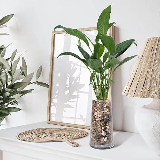 5 lbs Pebbles for Indoor Plants, Succulent, Bamboo, Vase, 3/8" Plant Rocks for Pots Indoor, Small River Rocks Decorative Pea Gravel, Highly Polished