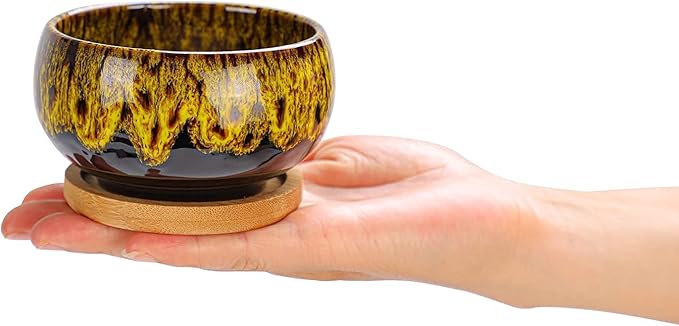 Cute Ceramic Succulent Garden Pots, Planter with Drainage and Attached Saucer, Set of 5 -Plants Not Included (Round)