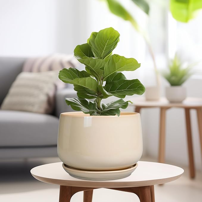 G EPGardening Ceramic Plant Pots - 9 Inch Round Planter, Ceramic Flower Pots with Drainage and Saucer, Modern Indoor Outdoor Planter, Room Decor, Home Gifts, Beige