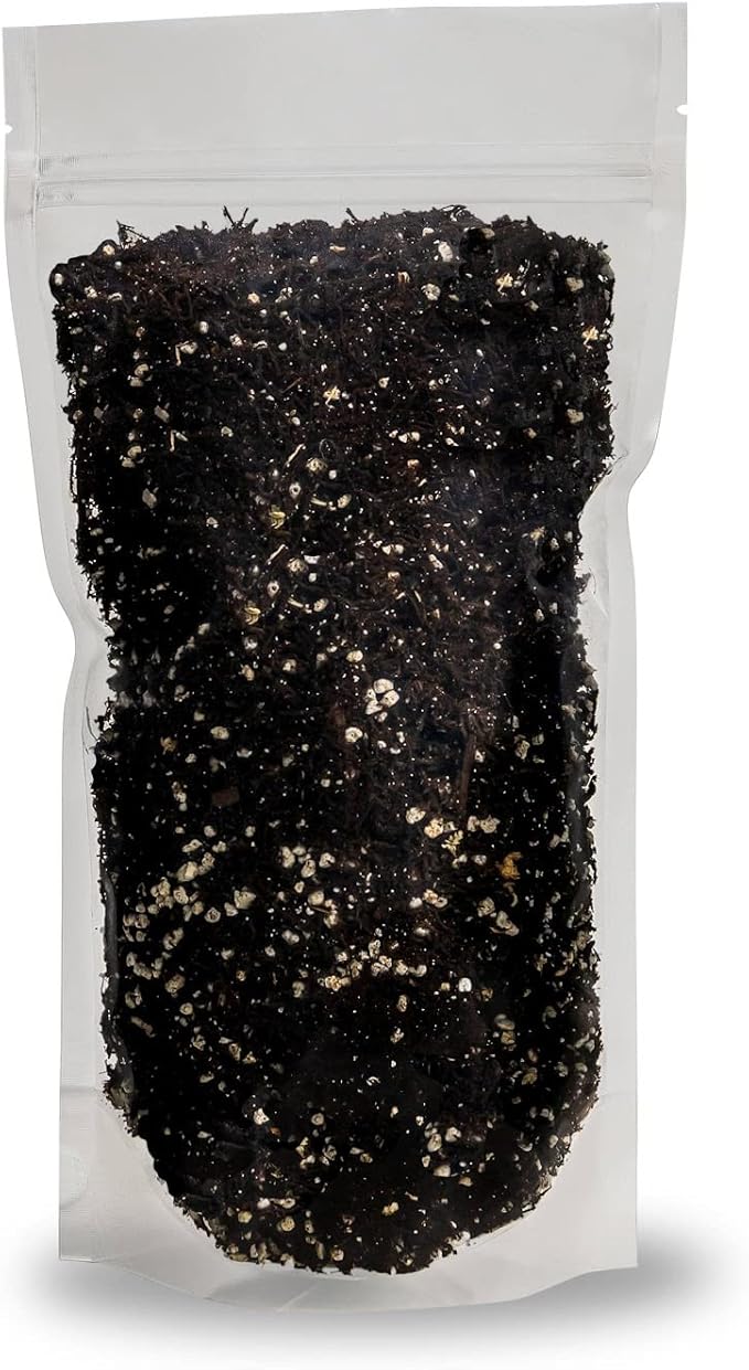 Fern + Perlite Soil Mix for Repotting and Planting Succulents and Cactuses - 5 Quart Bag