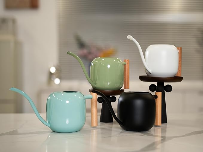 Green Moon Water Can Indoor Plant Mint Green 1.2L/41oz Metal Stainless Steel Water Can Indoor Outdoor with Long Spout for House Plant Bonsai Outdoor Garden Flowers