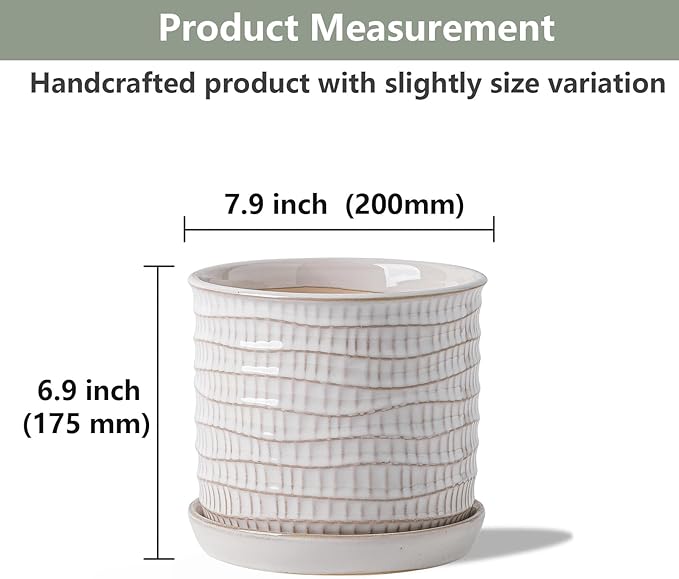 8 Inch Plant Pot: Ceramic Planter with Drainage Hole & Saucer - Cream White Flowerpot for Indoor & Outdoor Plants - with Separate Tray for Home & Office - Wave Embossed Design