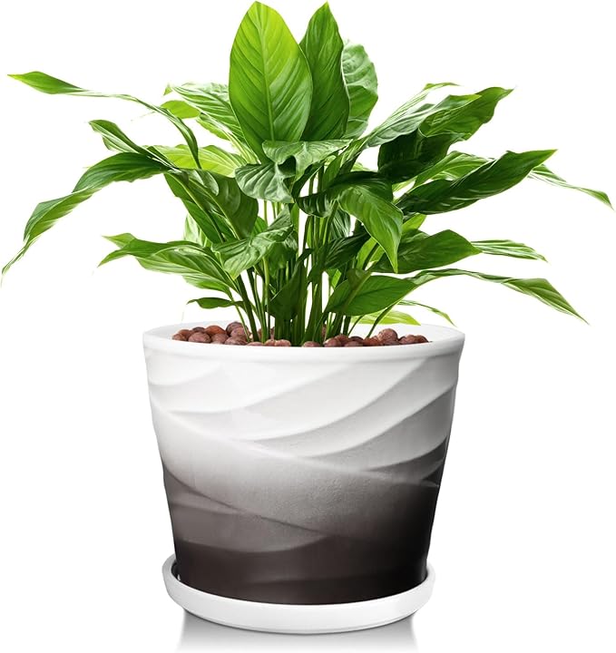 8 Inch Indoor Plant Pot with Drainage Holes and Saucers, Ceramic Planter for Plants, Succulent Orchid Flower Pots(Dark Gray+White)