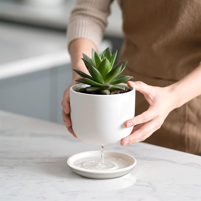 6.7 + 5.5 Inch Plant Pot, Ceramic Planter with Drainage and Saucer, Ceramic Pots for Plants, Indoor Plant pots,Succulent Pot Orchid Pots(Smooth White,Plant Pot Only)