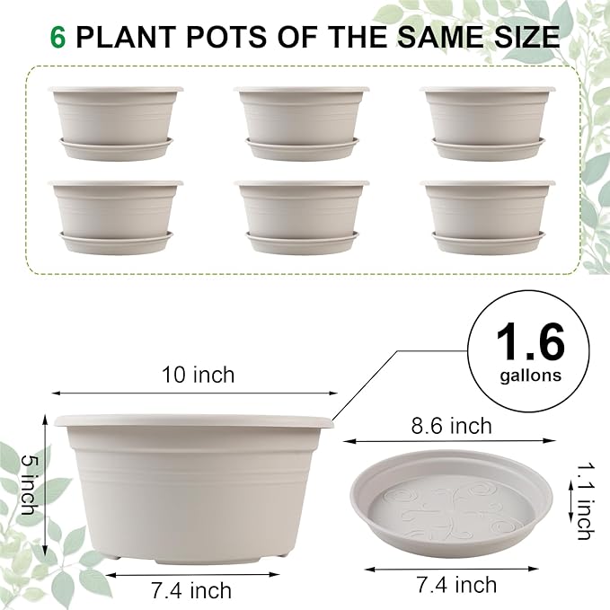 6 Pack 10 inch Plant Pot, Outdoor Pots for Plants with Drainage Hole & Tray Saucer, Round Plastic Plant Pot, Decoration Flower Pots for Indoor Plants Home Garden Outdoor Planters (White)